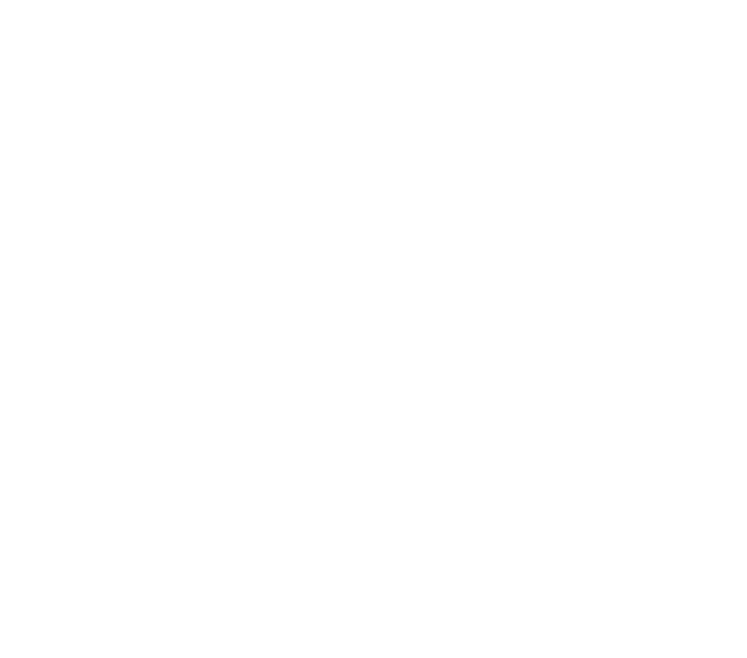 Logo - Fronius