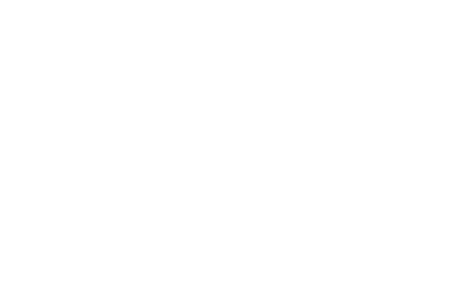 Logo - Langzauner