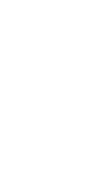 Logo - Schartner Bombe