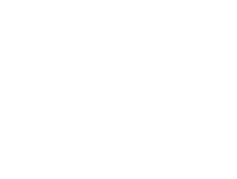 Logo - Scheuch