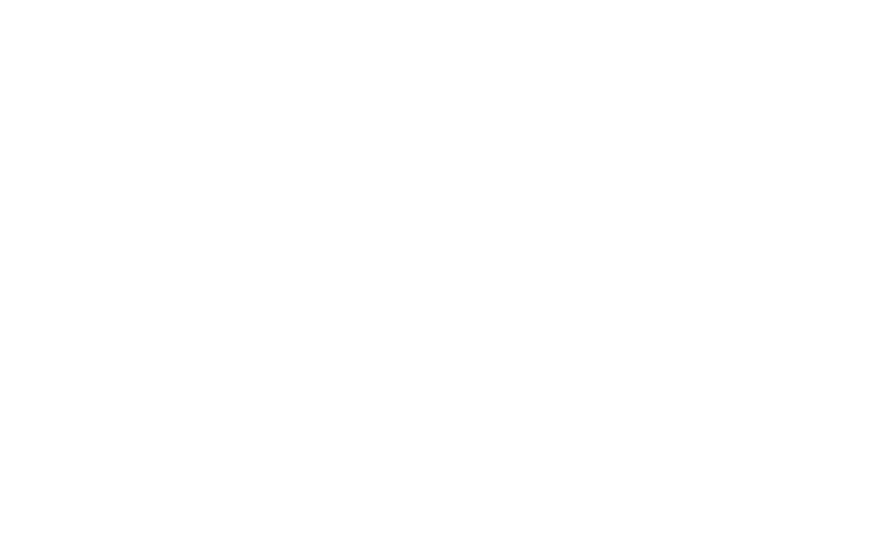 Logo - Seifriedsberger