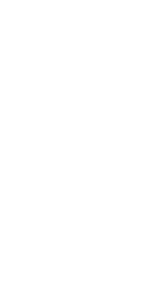 Logo - SV Ried