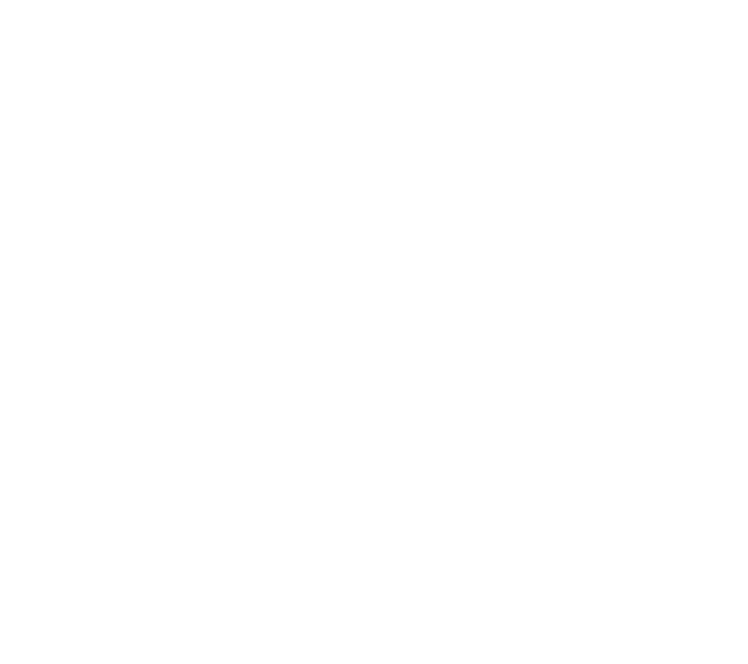Logo - Vialit Austria